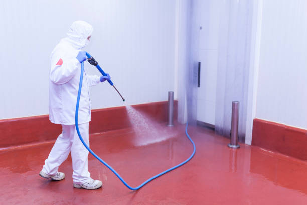 Pre-Holiday Cleaning in Middletown, MD